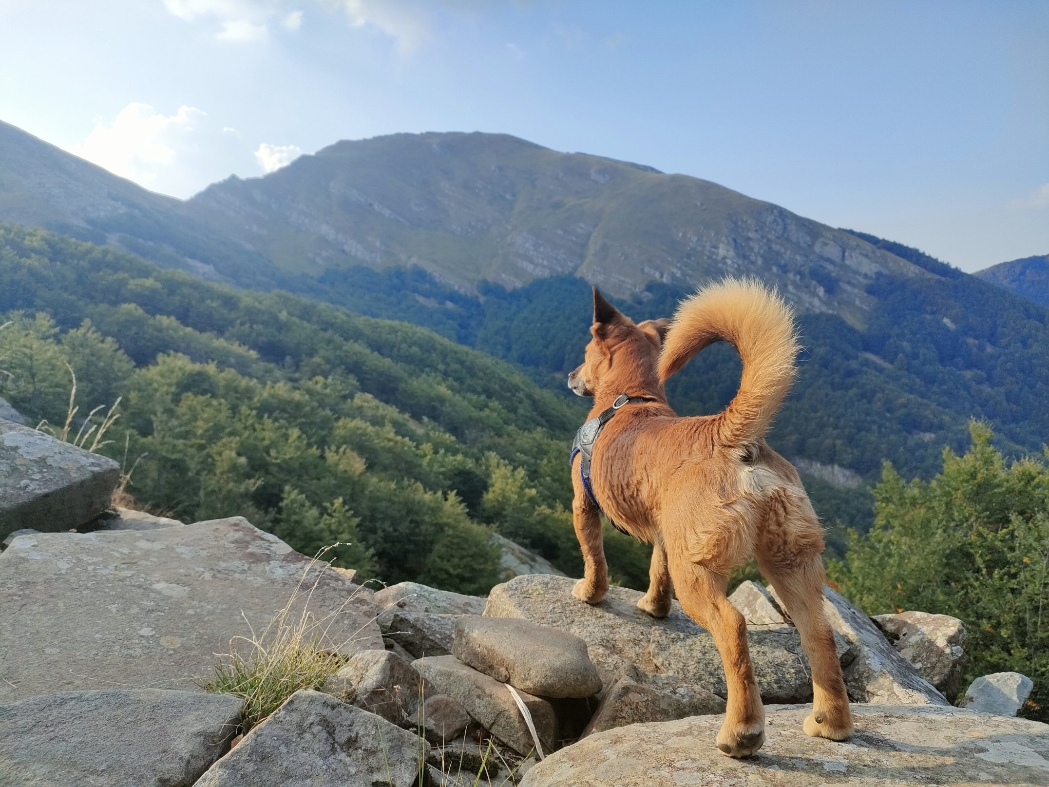 Taison sull'Appennino