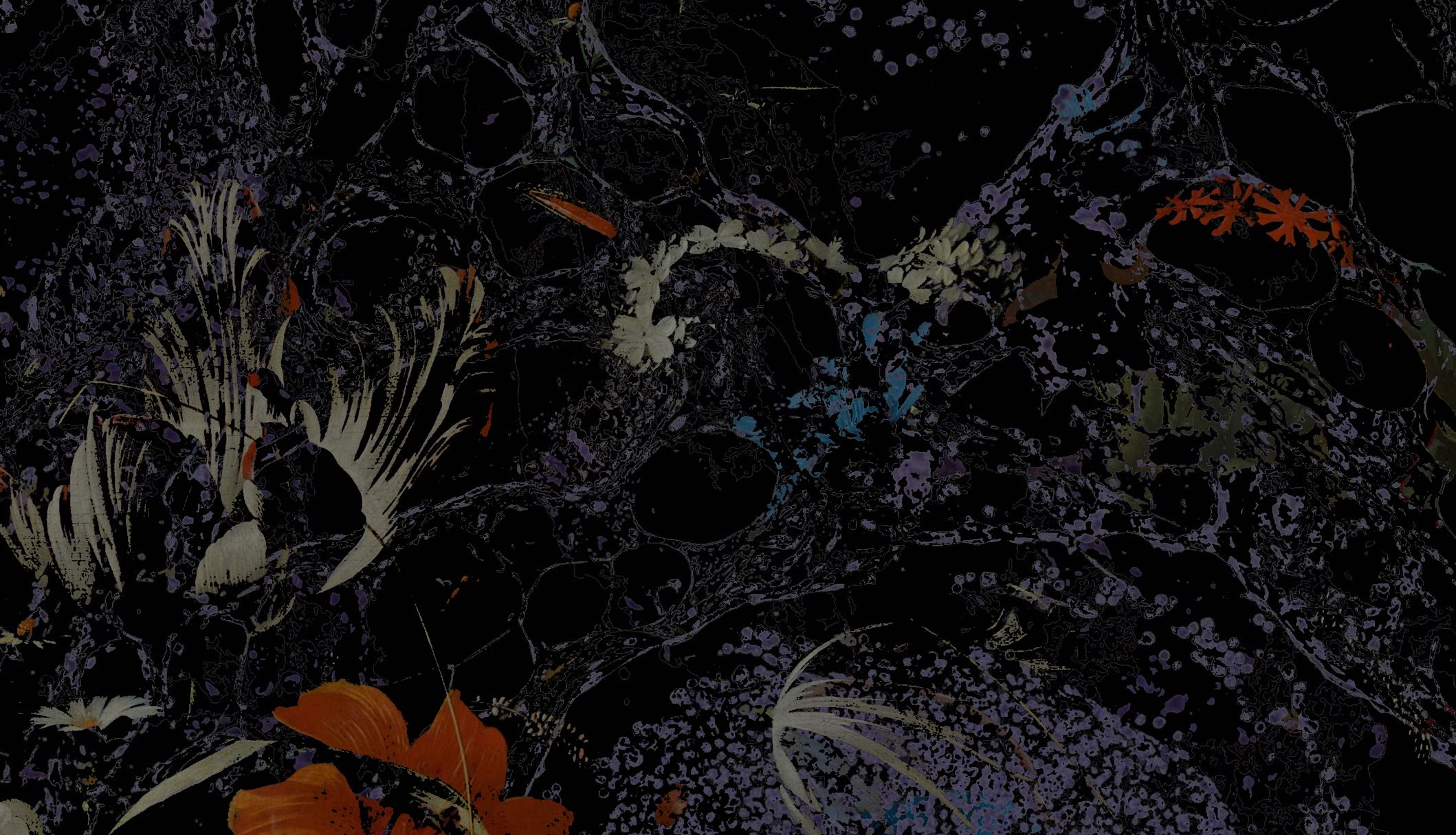 Visual botanico